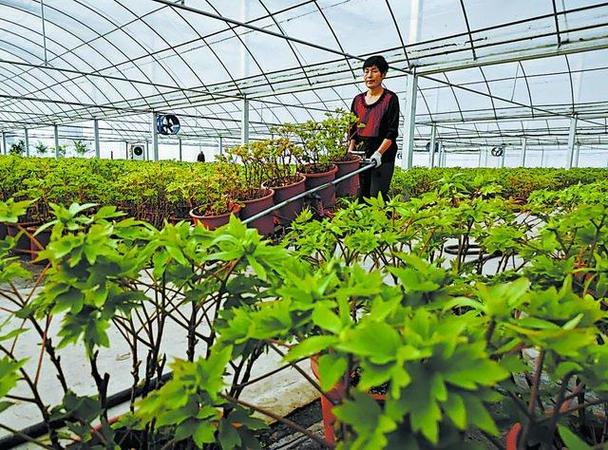 科技赋能,"美丽产业"动能澎湃